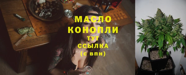 гашик Аркадак