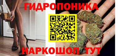 шишки Пугачёв