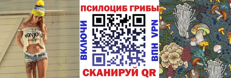 Галлюциногенные грибы прущие грибы  Черняховск 