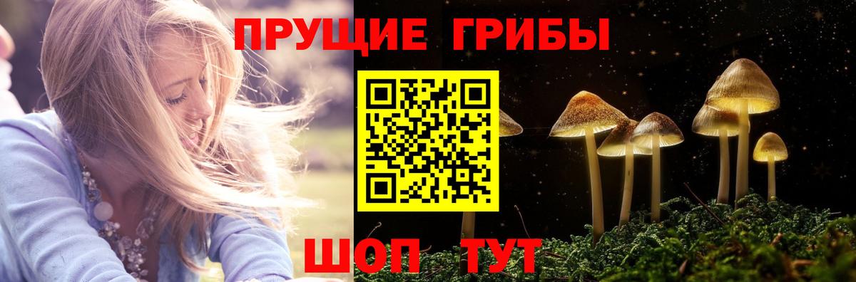 Галлюциногенные грибы Cubensis  Вход с VPN  Черняховск  Псилоцибиновые грибы мицелий 