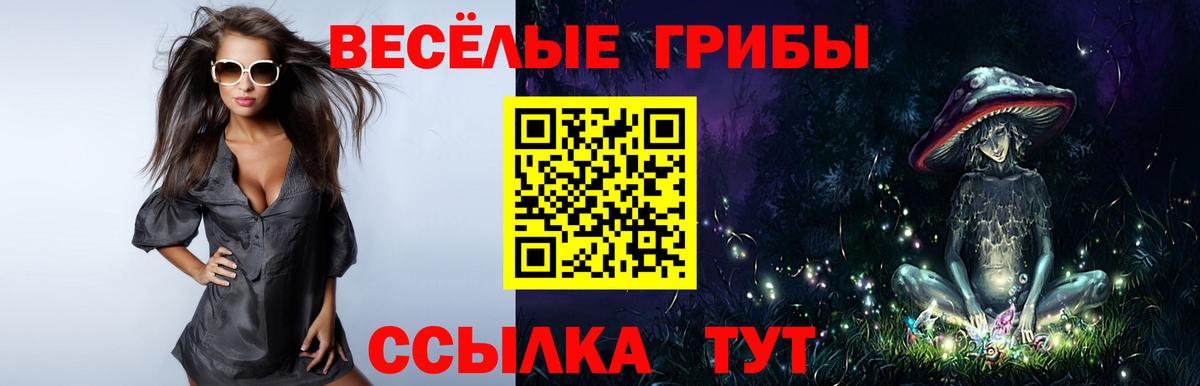 Галлюциногенные грибы Psilocybine cubensis Черняховск