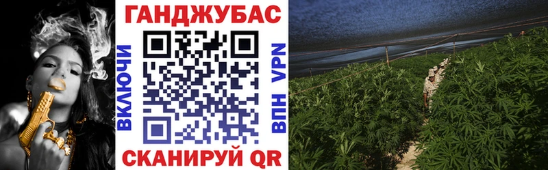 где найти mega ССЫЛКА Шишки марихуана тримм Черняховск